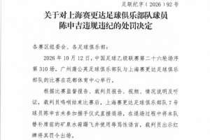 官方:陈申吉未参加握手仪式并用辱骂性语言,停赛2场罚款10000元