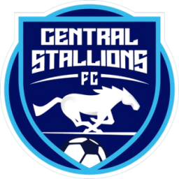 中央骏马